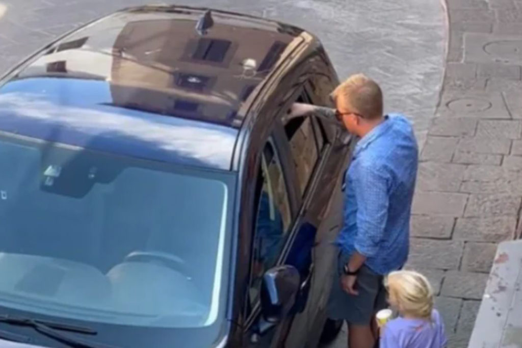 Kimi Raikönen hilft einem Hund. Credit: Twitter